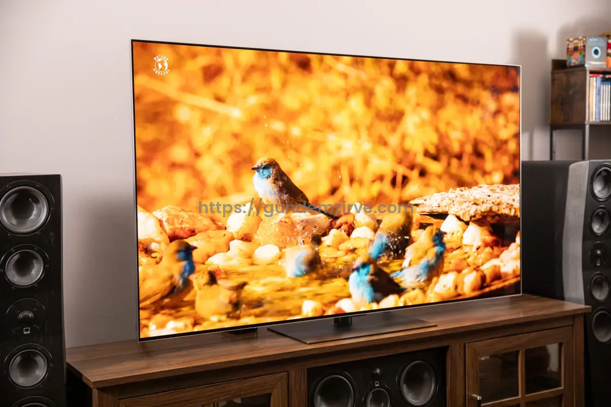 LG G5 OLED TV İncelemesi